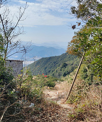 大山村的巨大变化