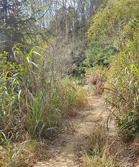 [�ﳵ]Ѱ�һ�������3�Ž籮������·�ź��������籮