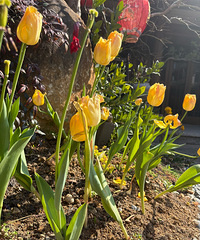 94�������Ů�����������Ұ��Һ޵��Ը��Խ��ΪĿ��