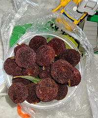 �����һ�γ���÷