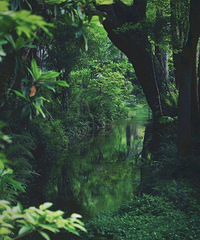 ���������̣����ĵ��̣����ڻ��ҵ�·�ϣ�