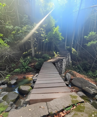 Ͷ��1000�򣬻���ɽ�����޸����½�������