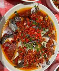 �������������������������������������ң��仯���