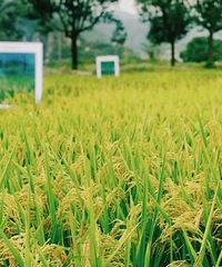 ����17ʱ57�֣�̨����ʽ���롭��