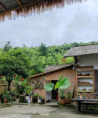 �����½���СԺ