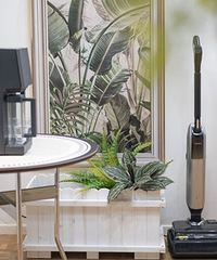 ��Щ�������ﲻ��ȱ