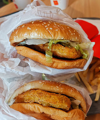 �������ʲô���������ŵڶ�����ë