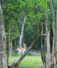 ��µ�÷��¹�������ĵ���