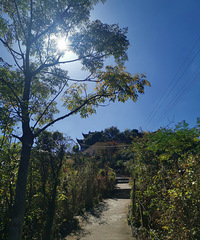 ��ɽ�t����