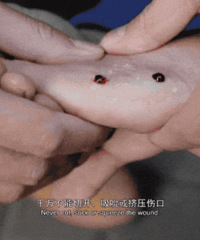 ̨�����ж��˱�ҧ�����ڸ߷�����ݡ���������������ס��