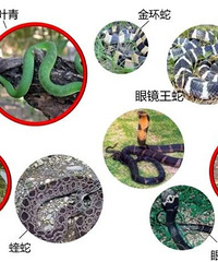 ̨�����ж��˱�ҧ�����ڸ߷�����ݡ���������������ס��