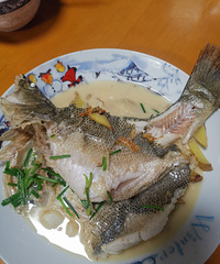 �������ʲô����ͷ���һ�������ͣ��ͺ��̰�ɫ