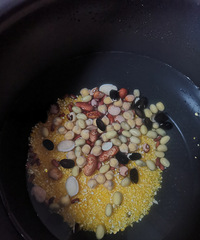 �������ʲô����ͷ���һ�������ͣ��ͺ��̰�ɫ