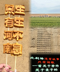 ��2025�μǡ�֣��|ֻ�к���һ���ο����˹���