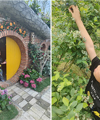 ȥɽ��ժ��ݮ