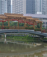 ȥ������������