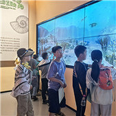 ���ʲ����