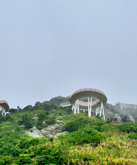 ����ʯ���Խ�ƽ̨