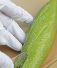 ���â�����Ҽ�ˮ�����ǵ��ͣ���ˬ��ζ�����Ķ���~