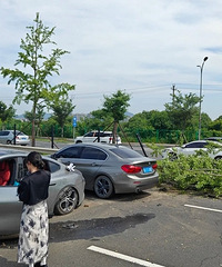 ������Ƶ�ع⣡̨��һС�������Ӹ�����������