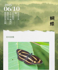 ���ѣ���Ϫˮ��6��11��0ʱ���ˮ��������ע�ⰲȫ��