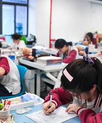 ���������ʵ����������Ա�������Ͻ�