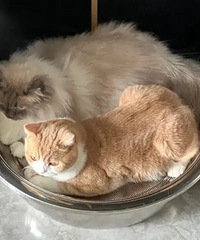 �ļ�ʡǮ�����