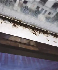 �������飬��̨�ݲ����˼����ѳ��֣���÷��󱬷�