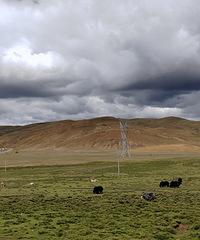 ��ԭ��������򡪡����Ǵ����˸�ԭҰ��������Ϣ��