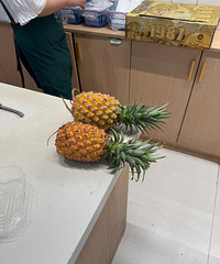 97�꽷������Ů���������֣���������������