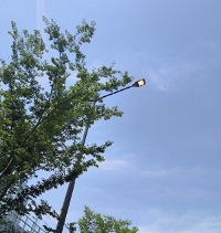 ����컹����