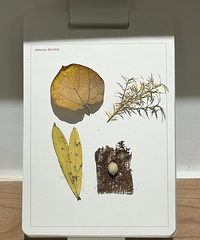 Ϊ��ʡǮ����������Щ����Ѱ�����£�����������Լ۱��¸߶ȣ�