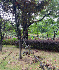 �úõ������ƻ��������˺�������