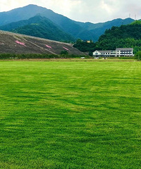 �ߣ�����ȥ�����Ҷ��˸���̬�����µر꣡