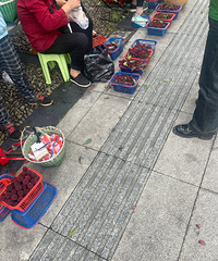 ���걾����÷3��5һ���Ȼ��������ȥ