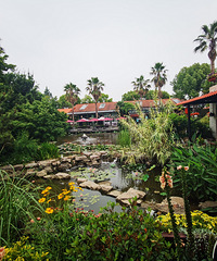 ��2025�μǡ��ٷ��й���ĺ���ׯ԰