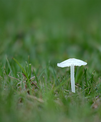 ϸ�����ɣ���������