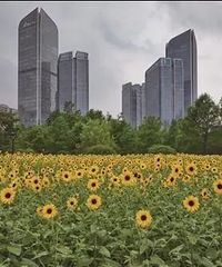 �򽫶��ε�½�� ̨�硰������ ��Ӱ��̨����