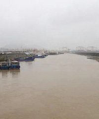 �˳�ʱ�֣������غ���բ��բ����