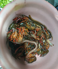 һ���ϵ��ջ�