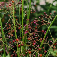 ��ͬ����