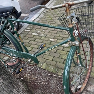 ���ܿ���������