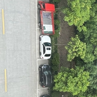 ͣ������