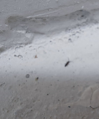 ��������ʲô����