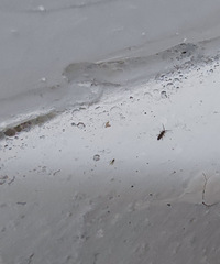 ��������ʲô����