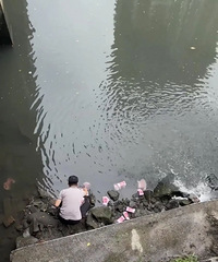 ����һ�ӵ����ִ�����Ʊ�����ӽ�����ߣ���������