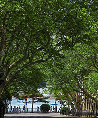 94����Ů���ѣ����¹����ƣ�Ѱ�����Ե����