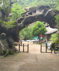 游览一柱擎天石桅岩景区,走进瀑布的世界龙湾潭森林公园