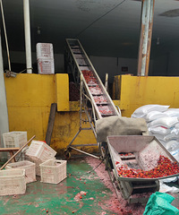 ��÷����������ʮ����ǰ�Ĺ��ոɾ��ܶ���