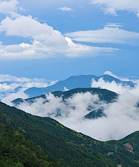 �����ƺ�